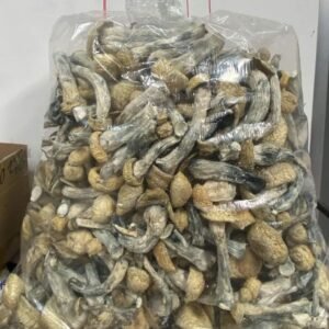 Melmac Magic Mushroom